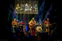 Die Kinzig und The Quinns image